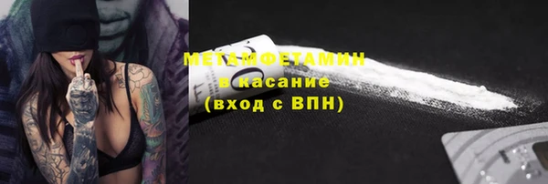 шишки Горняк