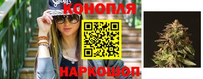 jwh Ставрополь