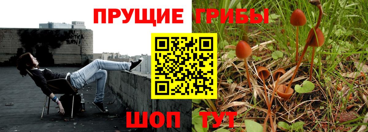 Псилоцибиновые грибы Cubensis Алапаевск